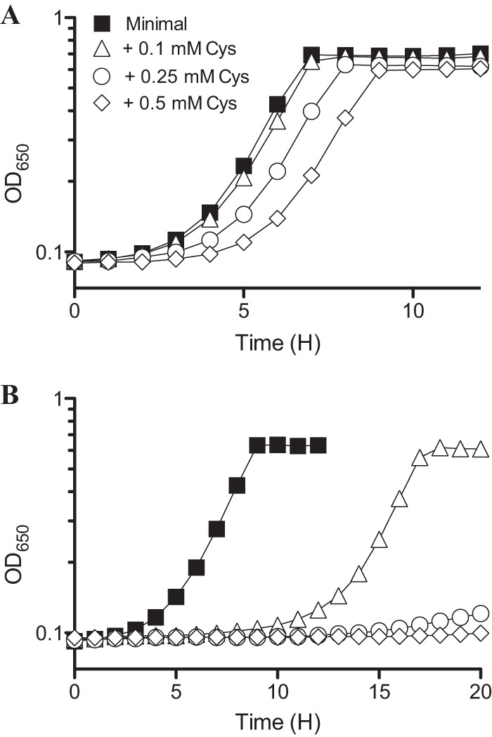 FIG 2