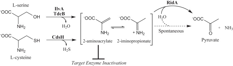 FIG 1