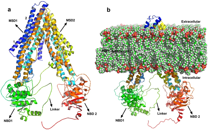 Figure 2