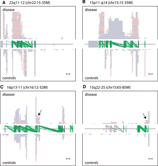 Figure 5