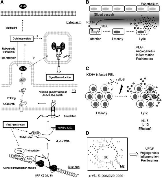 FIG. 3.