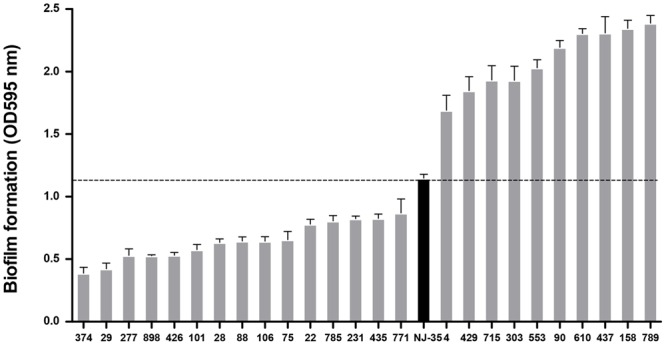 FIGURE 2