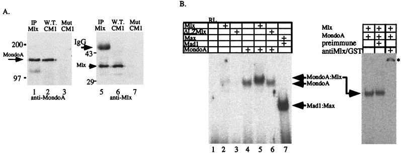 FIG. 3