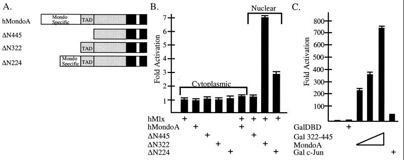 FIG. 6