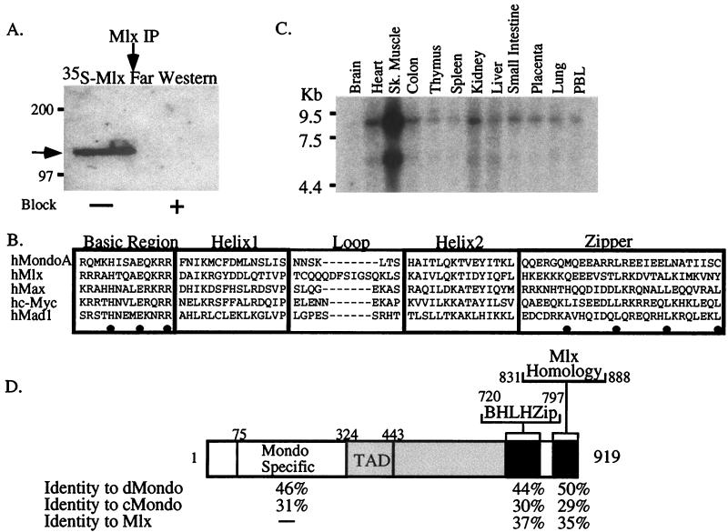 FIG. 1