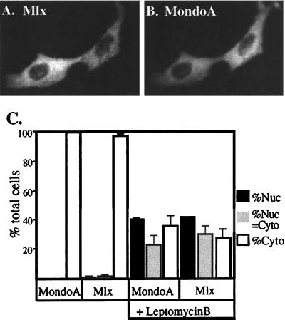 FIG. 4