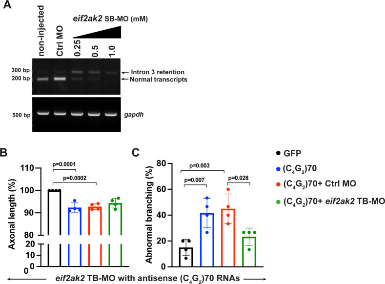 Figure 7—figure supplement 1.