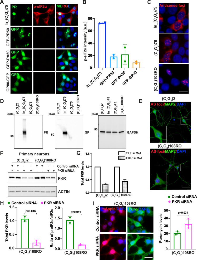 Figure 3—figure supplement 1.