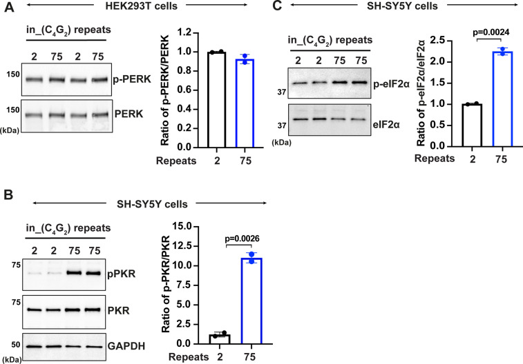 Figure 1—figure supplement 2.