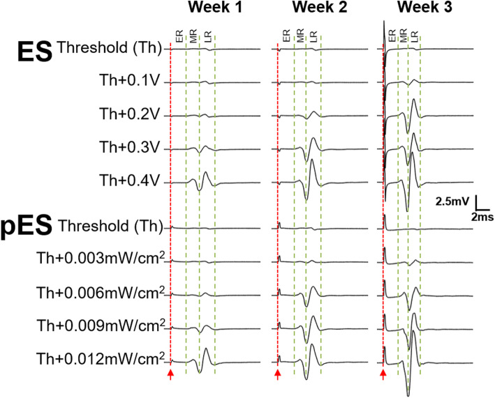 Fig. 3