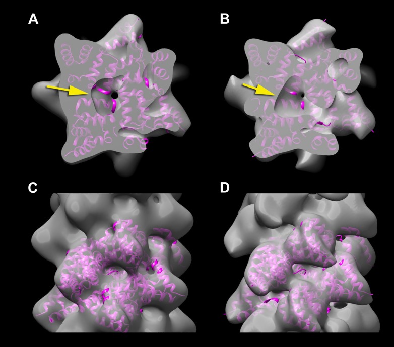 Figure 4.