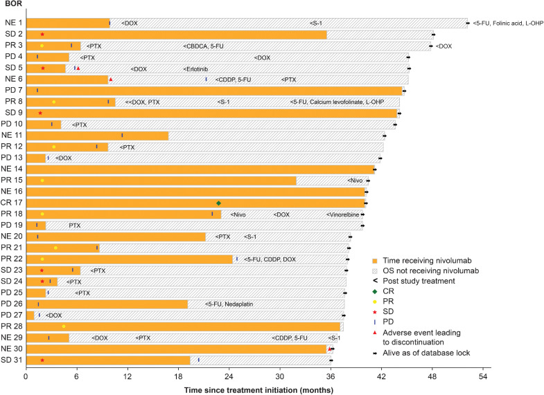 Figure 3. Treatment and outcomes of 3-year survivors in nivolumab group. Swimmer plot represent treatment-free period, discontinuations, BOR, and subsequent therapy of 3-year survivors (n = 31) in the nivolumab group. CDDP, cisplatin; CR, complete response; DOX, docetaxel; 5-FU, 5-Fluorouracil; L-OHP, oxaliplatin; NE, not evaluable; Nivo, Nivolumab; PTX, paclitaxel.