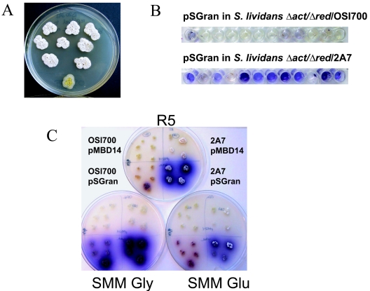 FIG. 2.