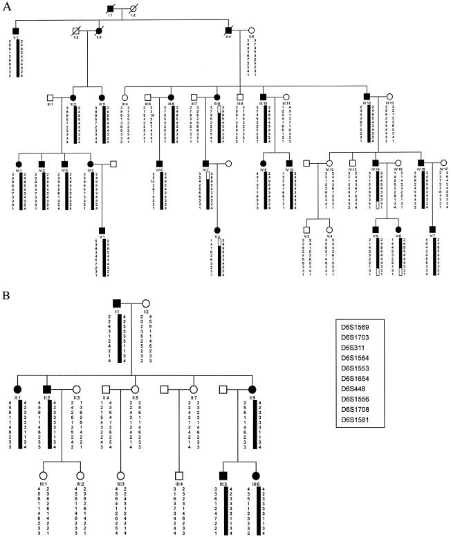 Figure  1