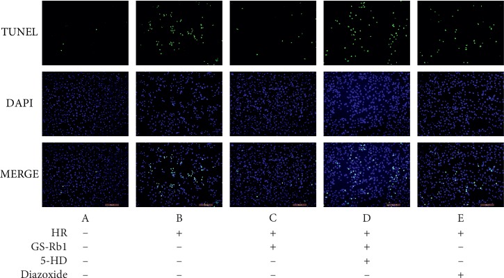 Figure 12