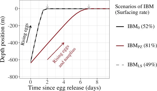 Fig 6