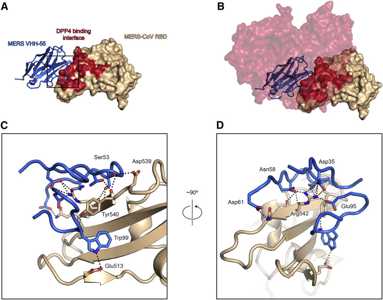 Figure 2