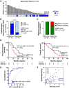 Figure 3. RAD51 score predicts platinum chemotherapy response and survival in ovarian cancer in a discovery cohort. A, RAD51 score and pathologic complete response (pCR) in patients with high-grade serous ovarian cancer before neoadjuvant chemotherapy. Dotted black line indicates manual quantification 10% cutoff value, which delineates RAD51-High and RAD51-Low tumors. All foci were counted in n > 100 geminin-positive cells per experiment. Technical replicates were performed for 30% of samples. B, Proportion of pretreatment RAD51-Low (n = 12) and RAD51-High (n = 19) tumors that had a pCR versus chemotherapy response score of 1–2 (RR, 5.28; 95% CI, 1.8–15.37; P < 0.001). C, Proportion of pretreatment RAD51-Low (n = 12) and RAD51-High (n = 19) tumors that were platinum-sensitive versus resistant (RR ∞, P = 0.05). *, P < 0.05 and ****, P < 0.0001 by the Student two-tailed t test D, Kaplan–Meier curves evaluating progression-free survival (left) and overall survival (right) in patients (n = 31) stratified by RAD51 scores. E, Receiver operating characteristic curve evaluating the predictive performance of RAD51 score and pathologic complete response. F, Correlation between manual quantification and novel automated quantification in patient-derived FFPE tumor samples.