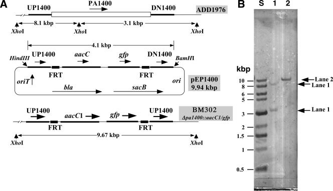 FIG. 3.