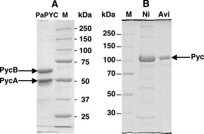 FIG. 5.