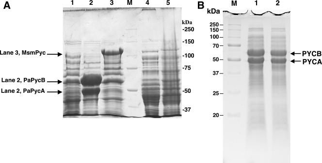 FIG. 4.