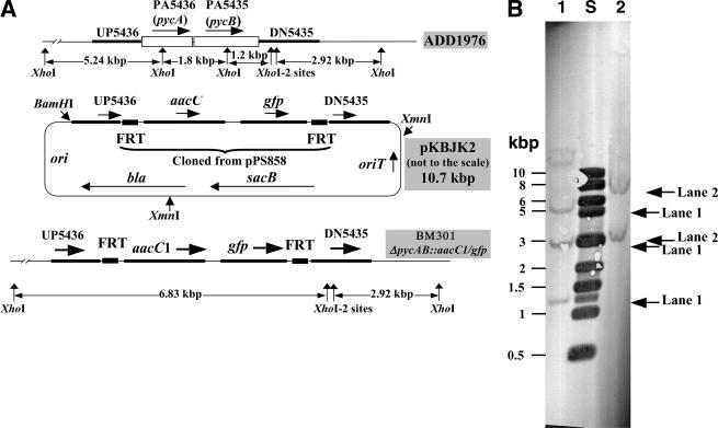 FIG. 2.