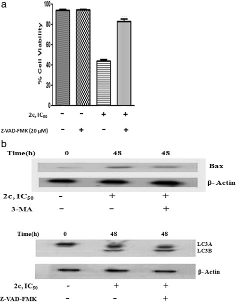 Fig. 13