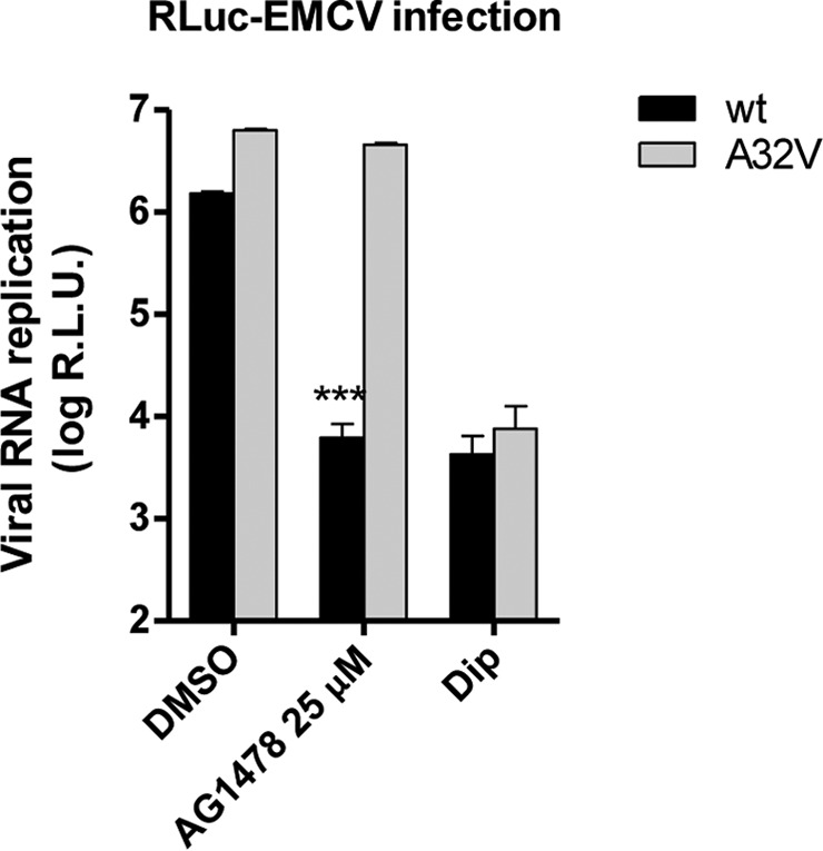 FIG 3