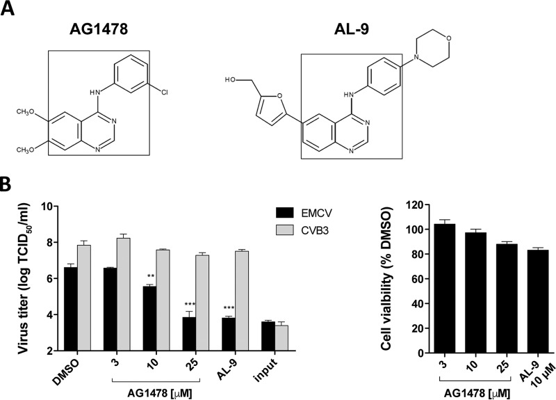 FIG 1