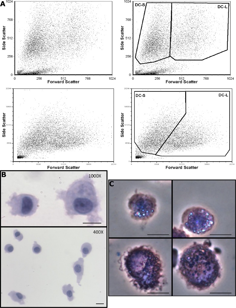 Fig 1