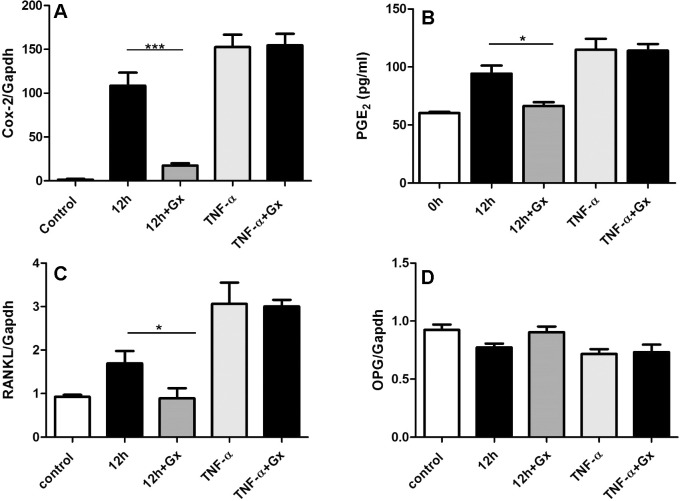 Figure 4. Piezo1 inhibitor, GsMTx4 (Gx), treatment is associated with reduced mechanical stress–induced osteoclastogenesis but not with TNF-α–induced osteoclastogenesis. Changes of mRNA profile of Cox2 (A), RANKL (C), OPG (D), and protein production of PGE2 (B) in hPDLCs after mechanical stress (12 hours) or TNF-α induction with or without addition of Gx. Values shown as mean ± SEM. n  =  3, * P  =  .05; ** P  =  .01; *** P  =  .001; **** P  =  .0001.