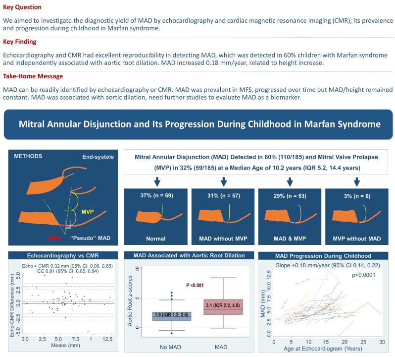 Graphical Abstract