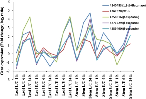 Figure 5.