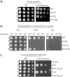 FIG 4