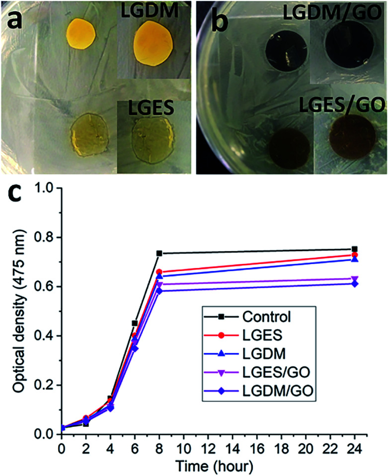 Fig. 9