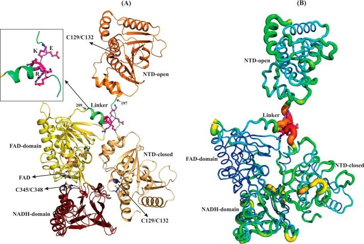 Figure 1.