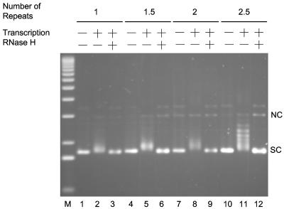 FIG. 2.