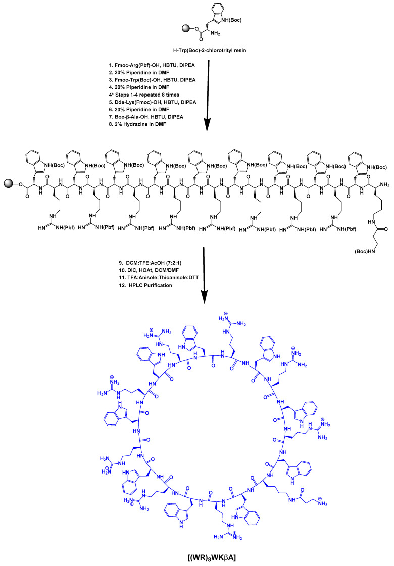 Scheme 1