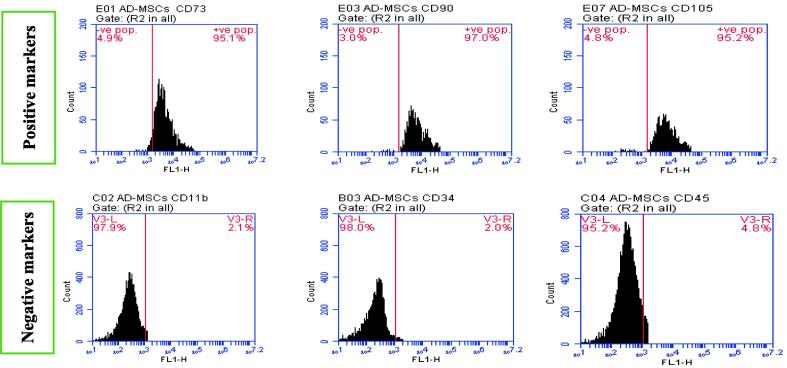 Fig. 1B