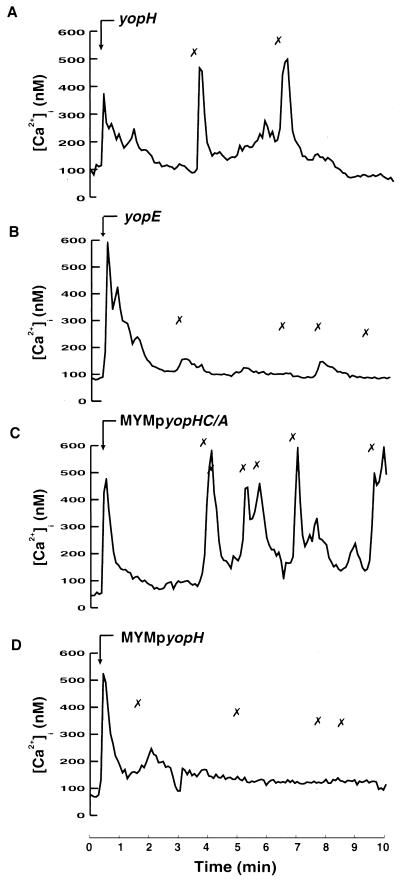 FIG. 4