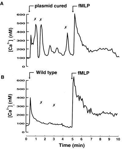 FIG. 5