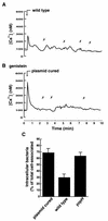 FIG. 3