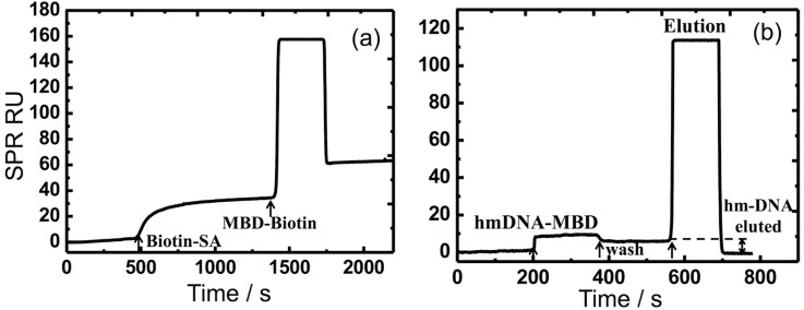 FIG. 7.