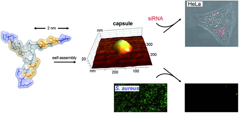 graphic file with name c5sc03260a-ga.jpg