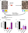 FIG 1