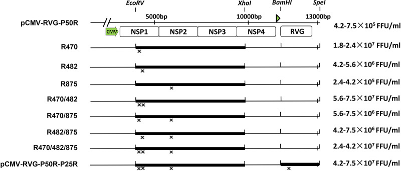 FIG 3