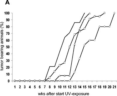 FIG. 8.