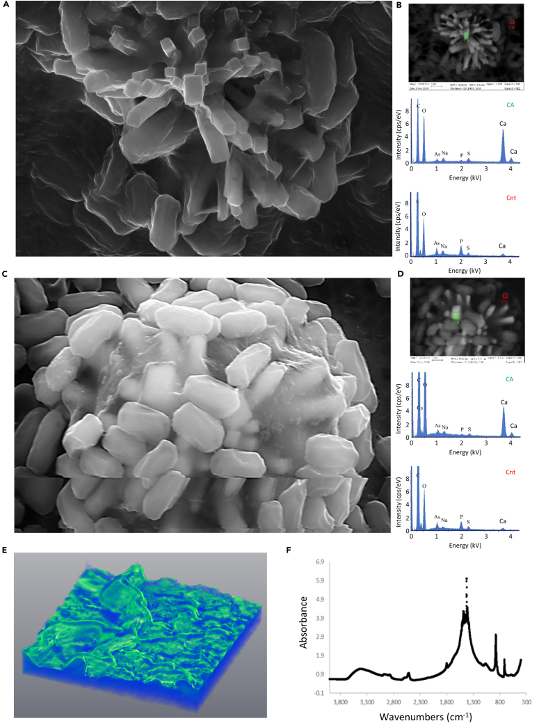 Figure 2