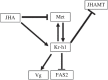 Figure 7.