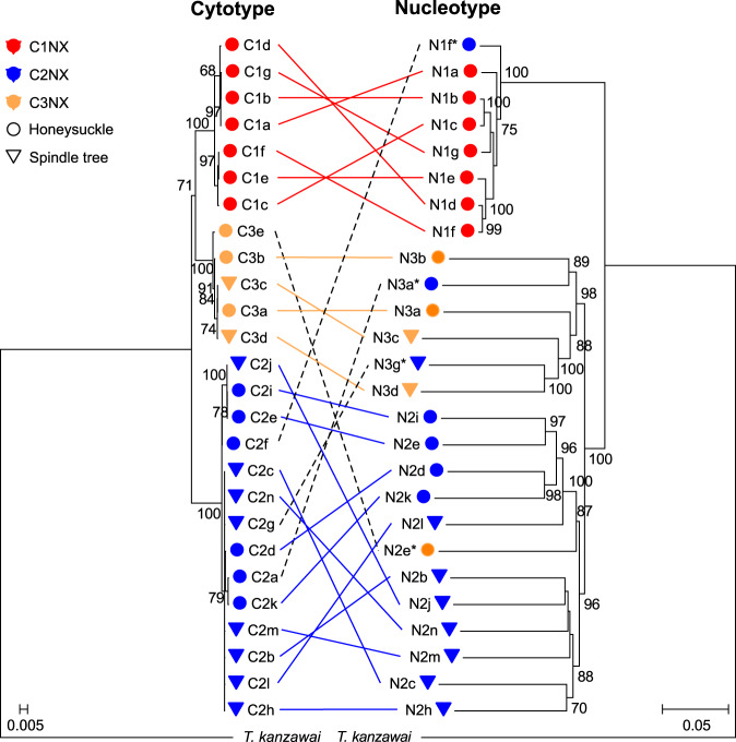 Fig. 2